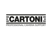 Cartoni