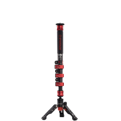 iFootage Cobra 2 C120 II with low profile tripod