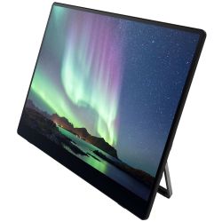 RICOH 150 Portable Monitor