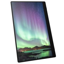 RICOH 150BW Portable Monitor