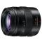 Panasonic LEICA DG Vario-Elmarit 12-35mm (H-ES12035E)