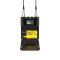 Deity THEOS D2RX Dual-Channel Wireless Receiver
