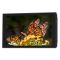 Portkeys HD7T
