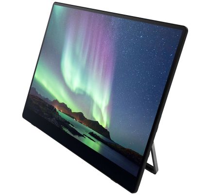 RICOH 150 Portable Monitor